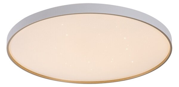 Rabalux 71454 LED přisazené stropní svítidlo Zerava | 80W integrovaný LED zdroj | 4600lm | 3000-6500K | dálkové ovládání | stmívač | zlatá