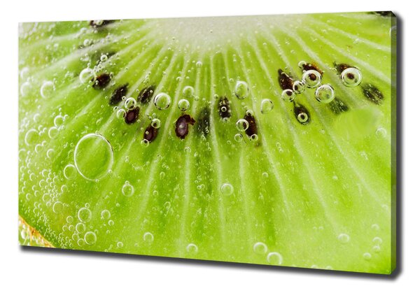 Foto obraz canvas Kiwi oc-67162624