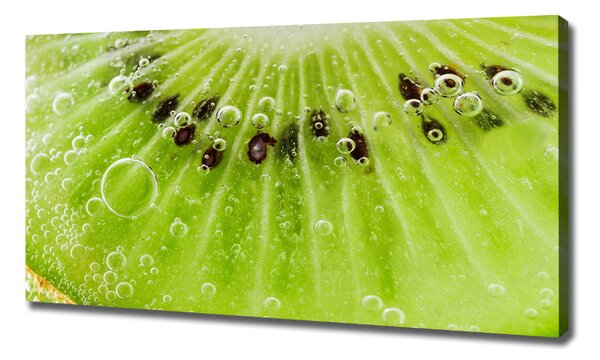 Foto obraz canvas Kiwi oc-67162624