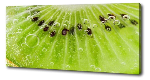 Foto obraz canvas Kiwi oc-67162624
