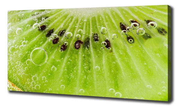 Foto obraz canvas Kiwi oc-67162624