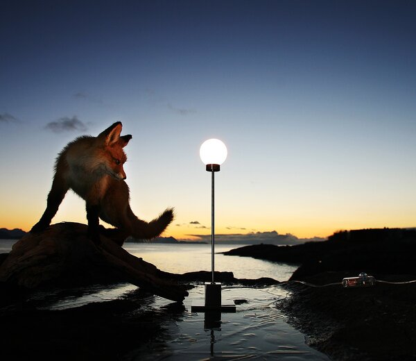 Northern designové stolní lampy Snowball Table