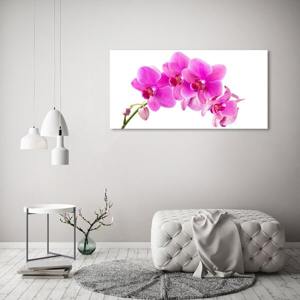 Foto obraz na plátně Růžová orchidej oc-67673367