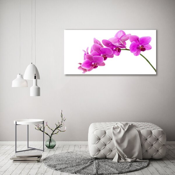 Foto obraz na plátně Růžová orchidej oc-67691978