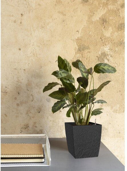 Květináč DELTO STONE 25x25x25 samozavlažovací nízký antracit