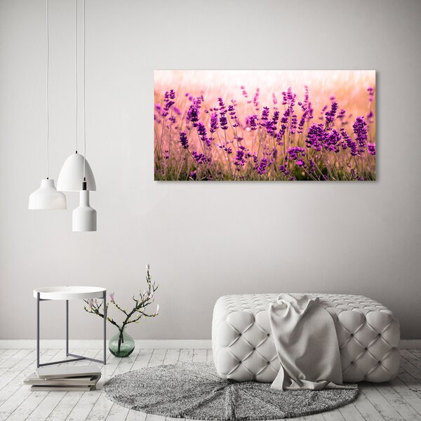 Foto-obraz canvas do obýváku Levandule oc-67946318