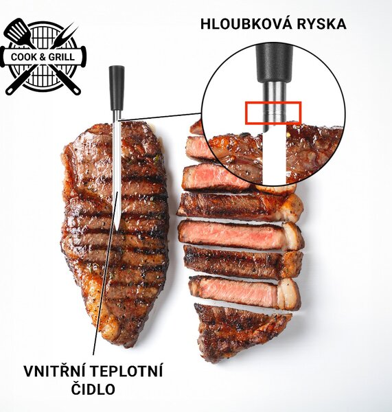 TESLA Cook BBQ200 - bezdrátová teplotní sonda