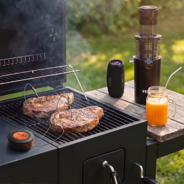 TESLA Cook BBQ150 - Smart teplotní sonda