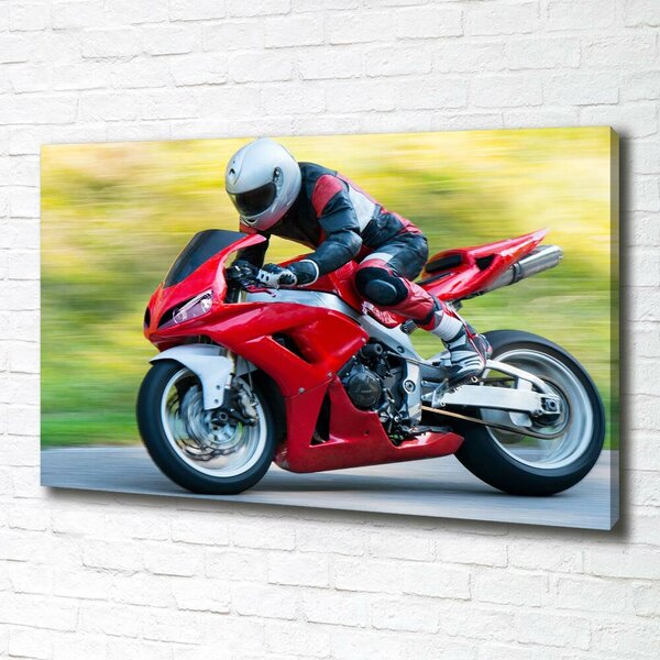 Foto obraz canvas Motorka oc-68370105