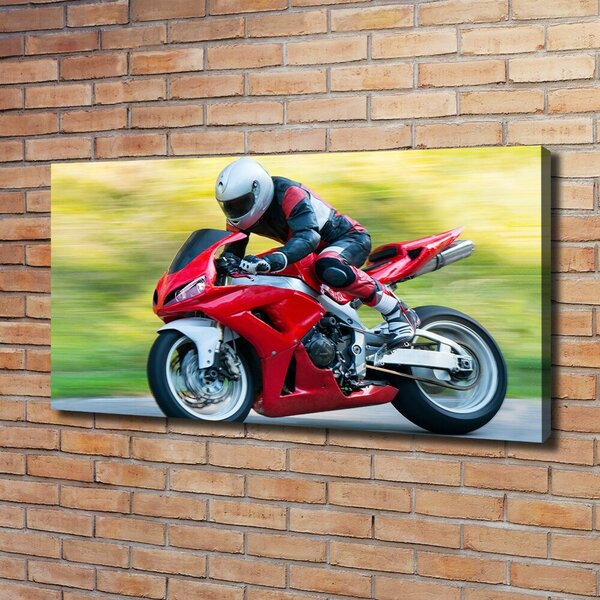 Foto obraz canvas Motorka oc-68370105