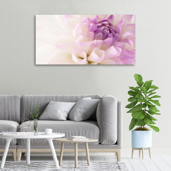 Moderní fotoobraz canvas na rámu Bílá dálie oc-68475939