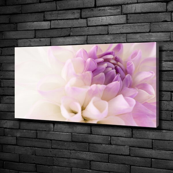 Moderní fotoobraz canvas na rámu Bílá dálie oc-68475939