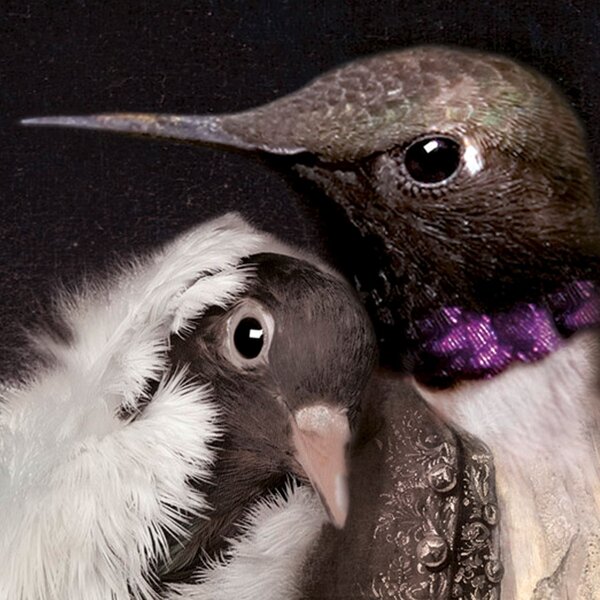 Ibride designové obrazy/ podnosy The Lovebirds