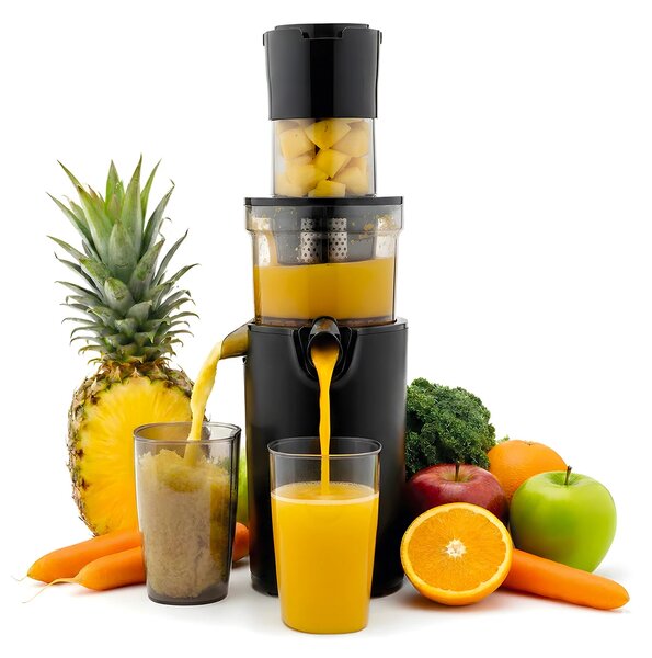 TESLA SlowJuicer SJ500 XL - nízkootáčkový šnekový odšťavňovač
