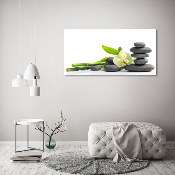 Foto obraz na plátně Orchidej oc-68592259