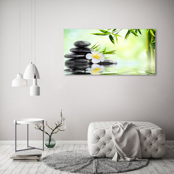 Moderní obraz canvas na rámu Orchidej a bambus oc-68618057