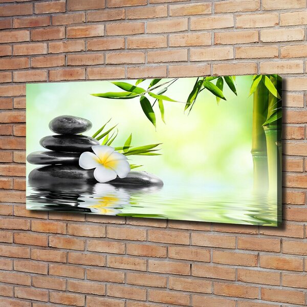Moderní obraz canvas na rámu Orchidej a bambus oc-68618057