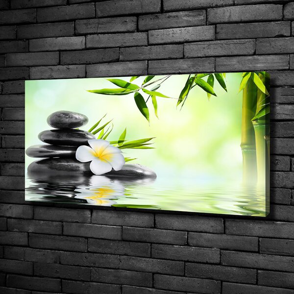 Moderní obraz canvas na rámu Orchidej a bambus oc-68618057