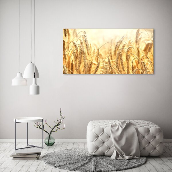 Moderní foto obraz na stěnu Zboží osh-68789601