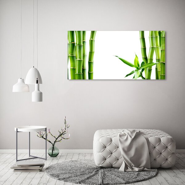 Foto obraz canvas Bambus oc-68827460