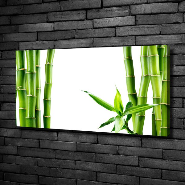 Foto obraz canvas Bambus oc-68827460
