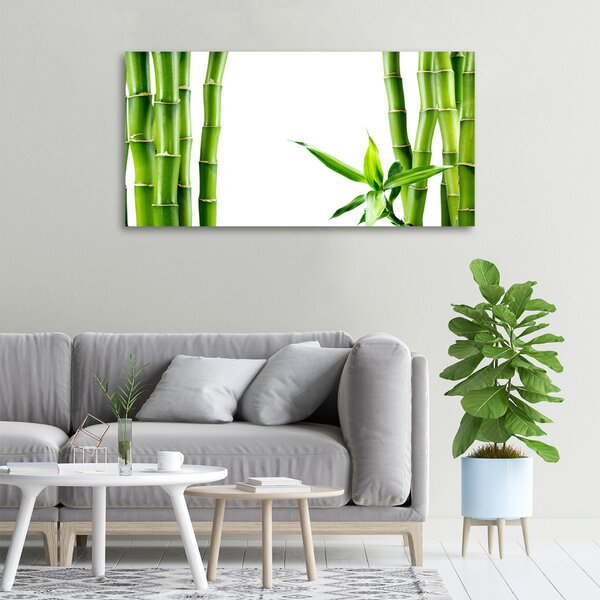 Foto obraz canvas Bambus oc-68827460
