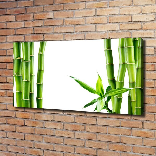 Foto obraz canvas Bambus oc-68827460