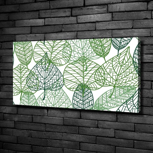 Moderní obraz canvas na rámu Zelené listí vzor oc-68927464