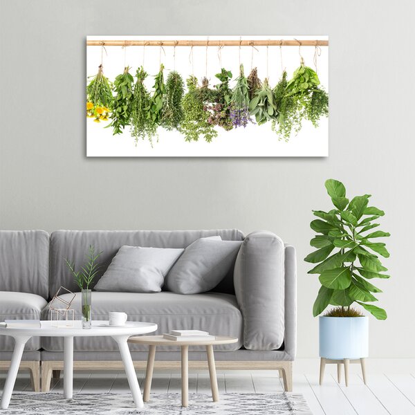 Moderní obraz canvas na rámu Bylina na provázku oc-68998544
