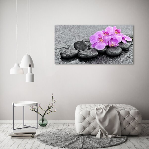 Foto obraz tištěný na plátně Orchidej kamení oc-69189175