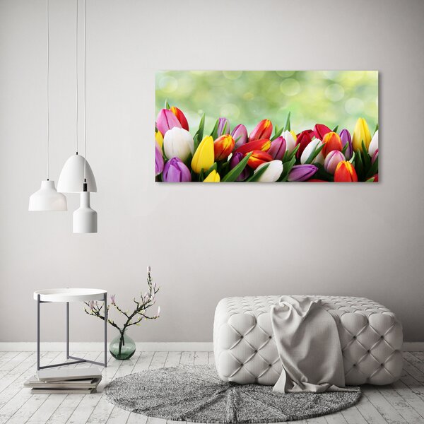 Moderní obraz canvas na rámu Barevné tulipány oc-69344290
