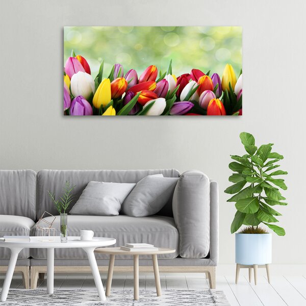 Moderní obraz canvas na rámu Barevné tulipány oc-69344290