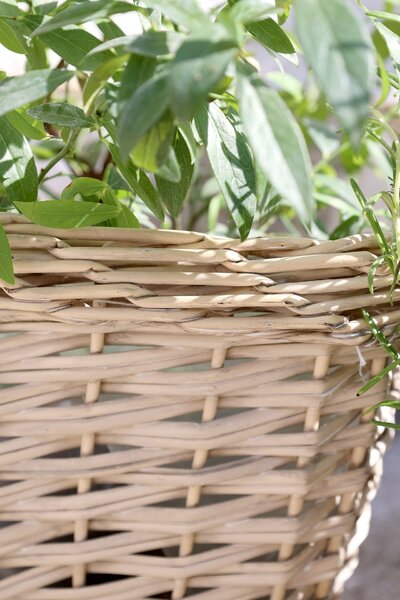 Proutěný obal na květiny French Basket Nature Velikost M