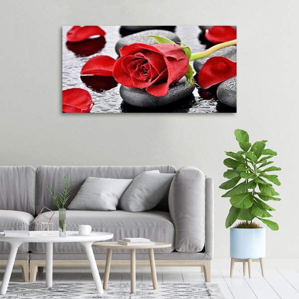 Moderní fotoobraz canvas na rámu Červená růže oc-69893127