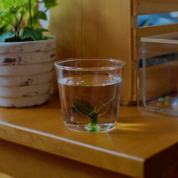 Ichendorf Milano designové sklenice na vodu Greenwood Leafs Tumbler