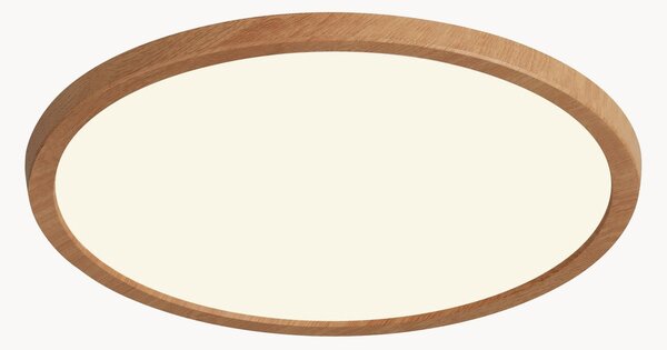 Stmívatelné stropní LED svítidlo Oja