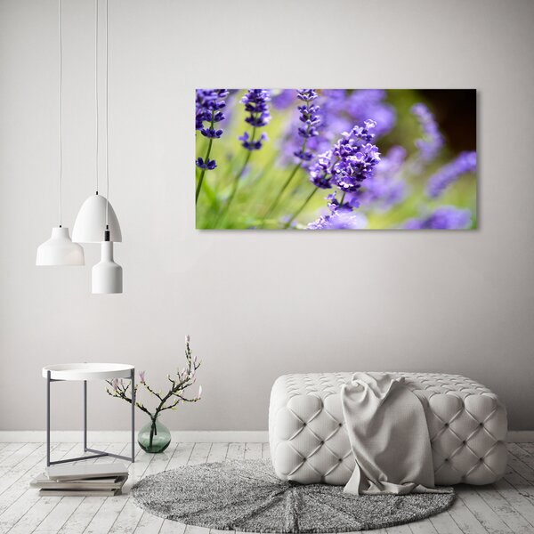 Foto-obraz canvas do obýváku Levandule oc-70339730
