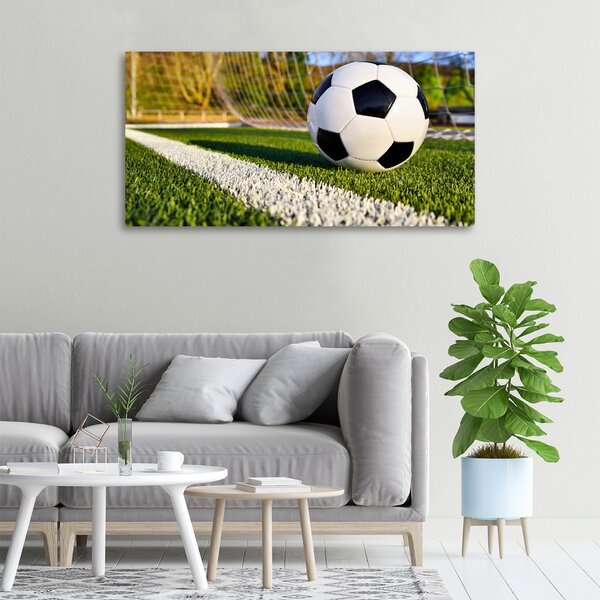 Moderní fotoobraz canvas na rámu Míč v bramce oc-70358080