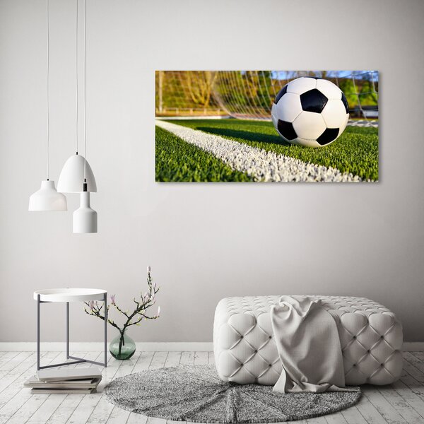 Moderní fotoobraz canvas na rámu Míč v bramce oc-70358080