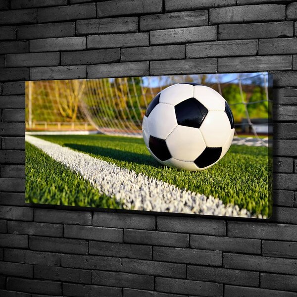 Moderní fotoobraz canvas na rámu Míč v bramce oc-70358080