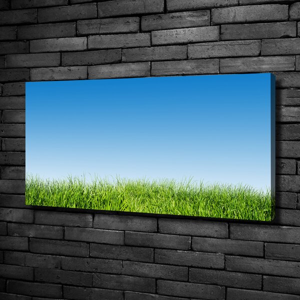 Moderní fotoobraz canvas na rámu Tráva oc-70389289