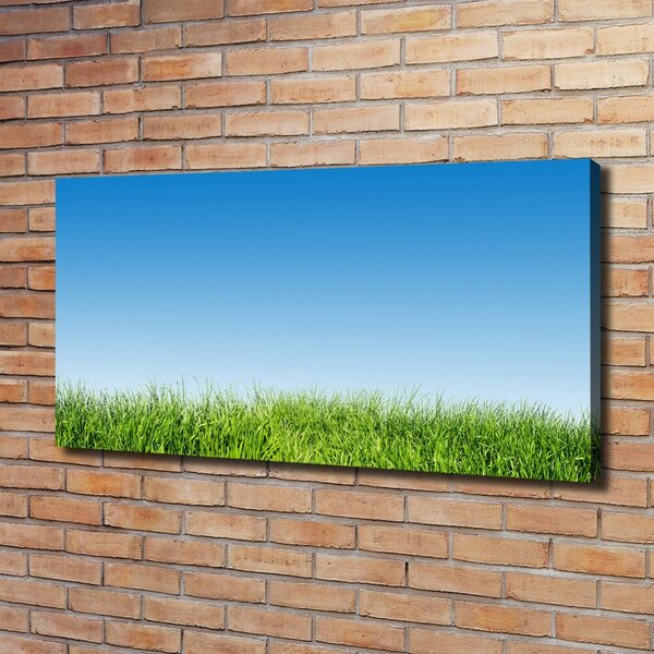Moderní fotoobraz canvas na rámu Tráva oc-70389289