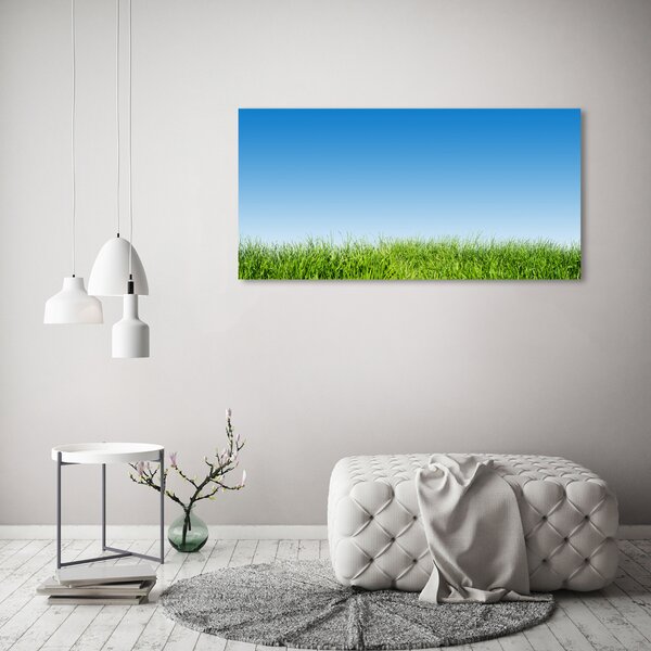 Moderní skleněný obraz z fotografie Tráva osh-70389289