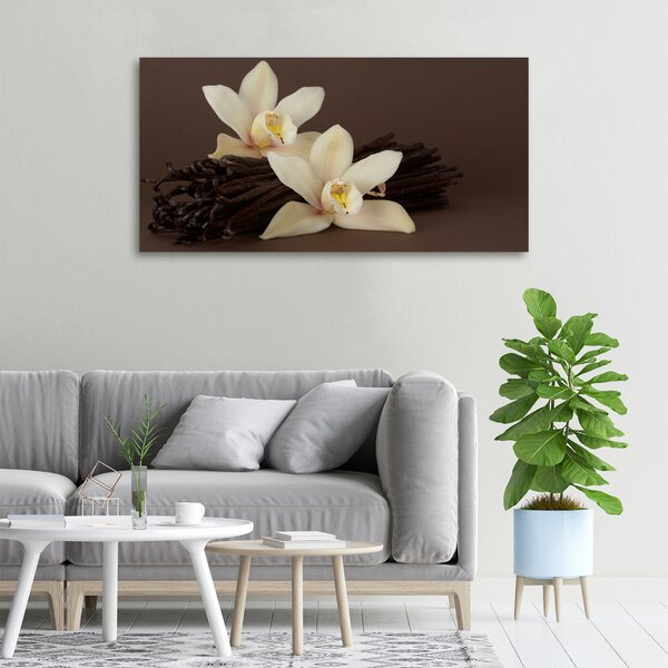 Moderní fotoobraz canvas na rámu Vanilka oc-7056767
