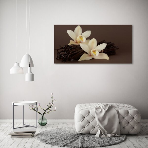 Moderní fotoobraz canvas na rámu Vanilka oc-7056767