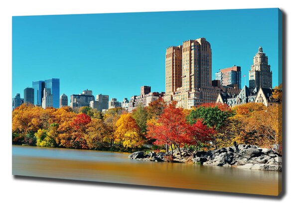Foto obraz na plátně New York podzim oc-70676089