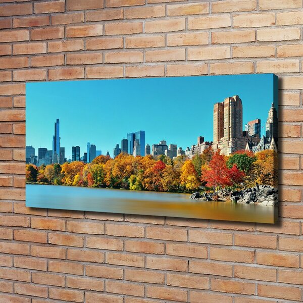 Foto obraz na plátně New York podzim oc-70676089