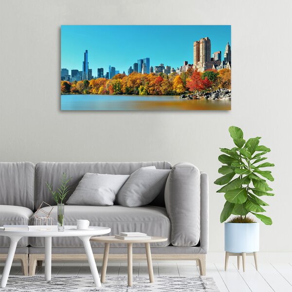 Foto obraz na plátně New York podzim oc-70676089