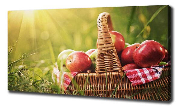 Foto obraz canvas Jablka v koši oc-70920367