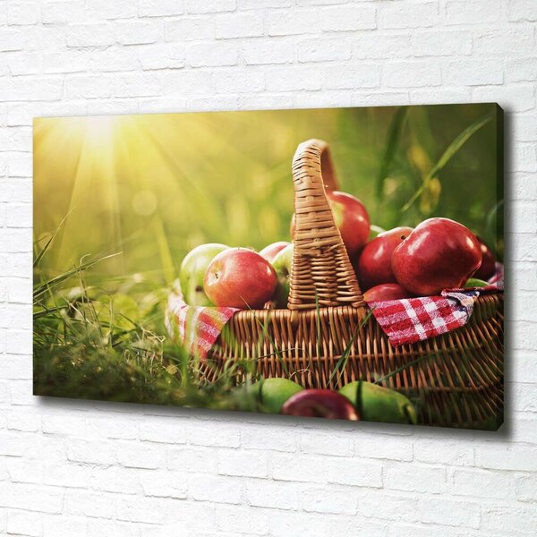 Foto obraz canvas Jablka v koši oc-70920367